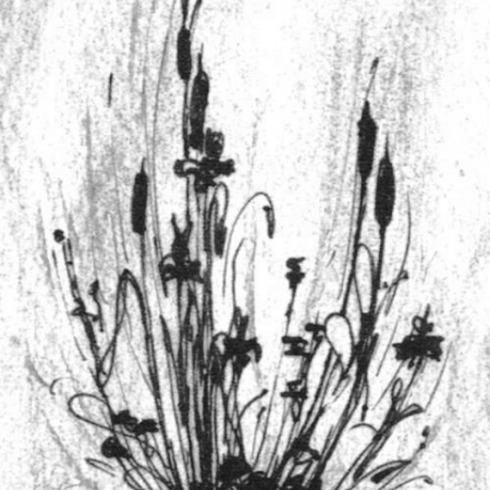 Zeichnung von Pflanzen