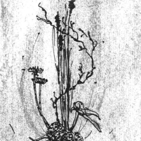 Zeichnung von Blumengesteck
