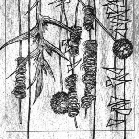 Zeichnung von Pflanzen