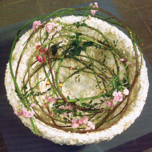 Foto von gewickelten Ästen mit Blüten in Schale