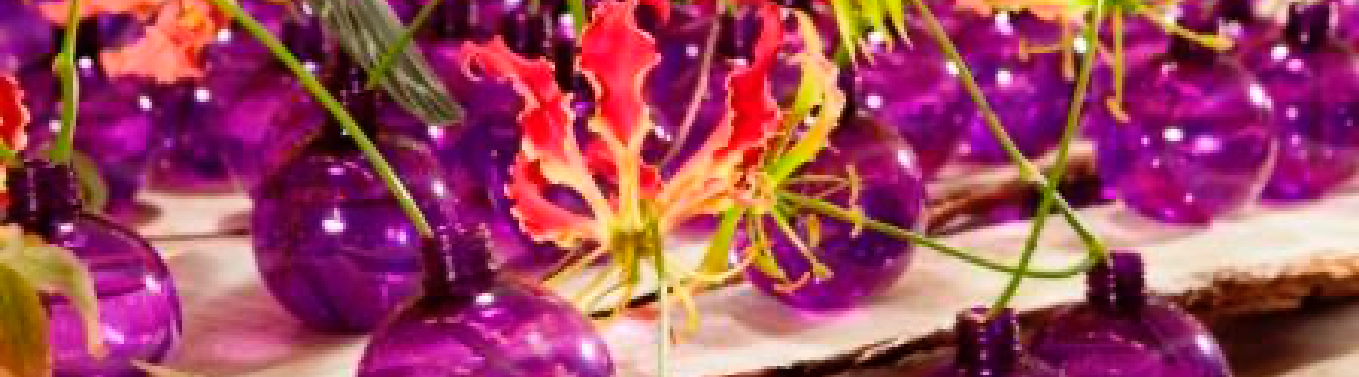 Blüten in lila Vasen