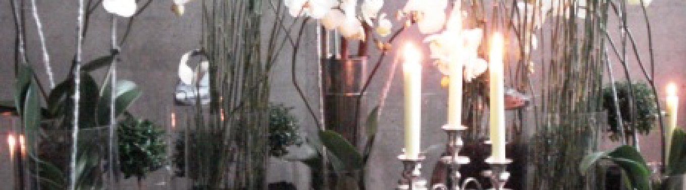 Foto von Orchideen und einem Kerzenständer